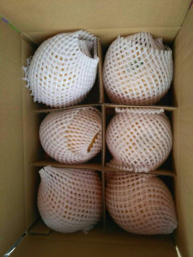秋月梨450~500g纸箱