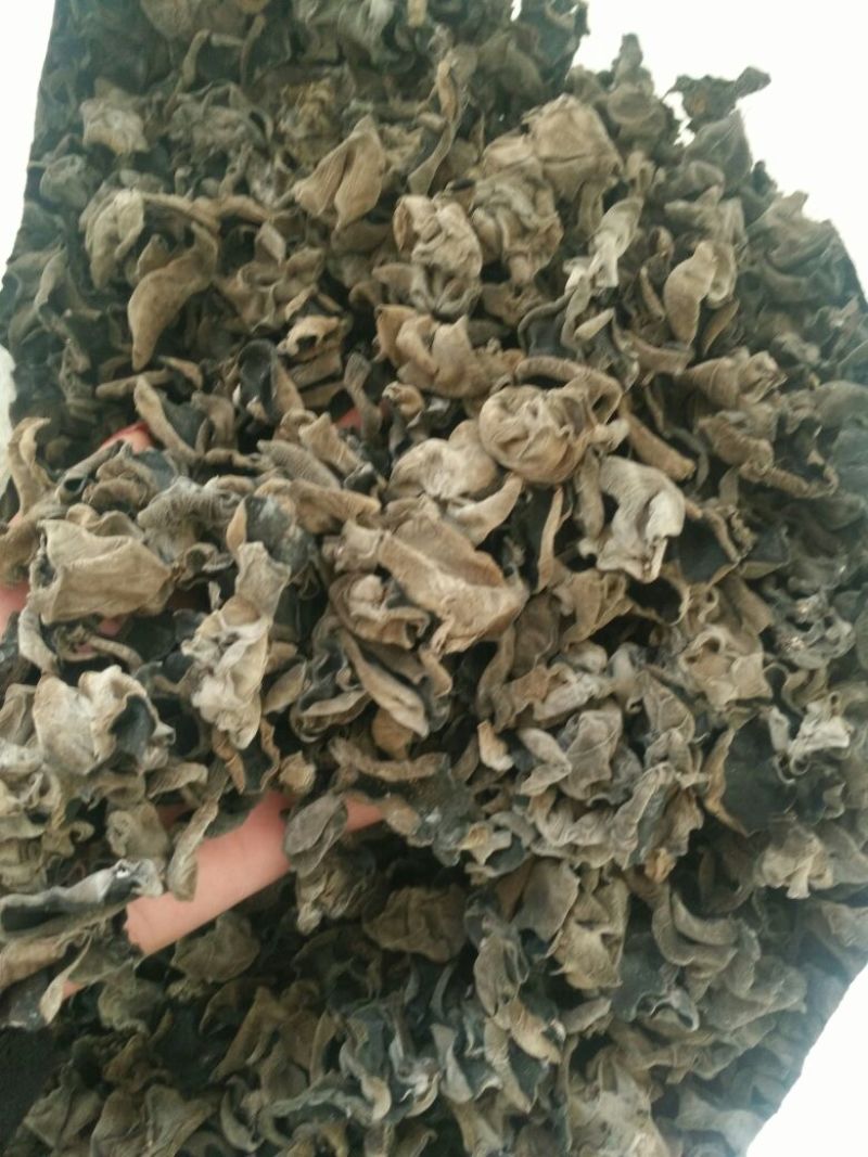 干木耳一级