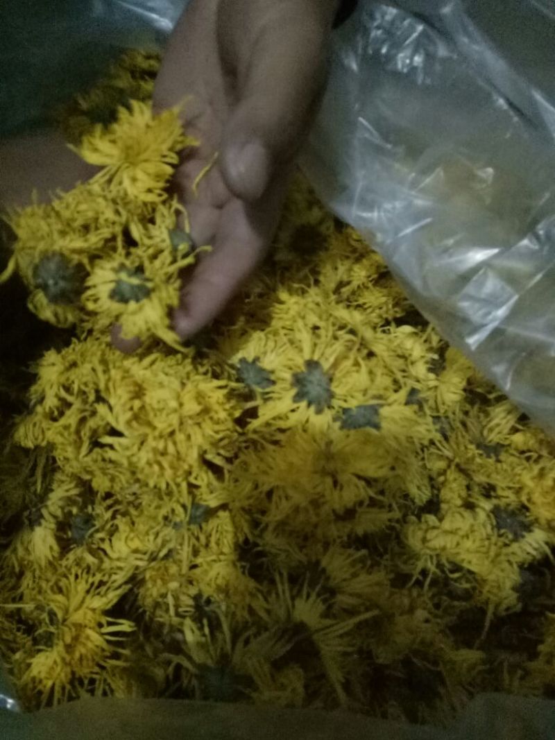 菊花茶