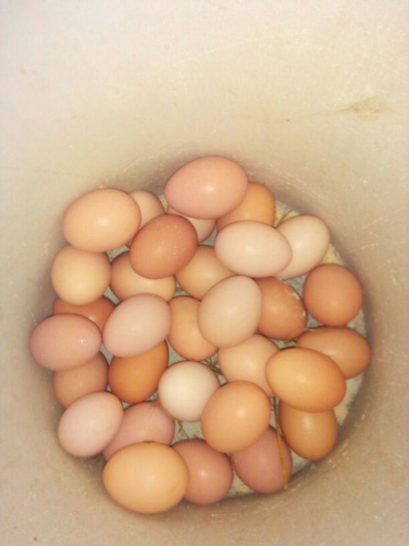 土鸡蛋食用50g以下