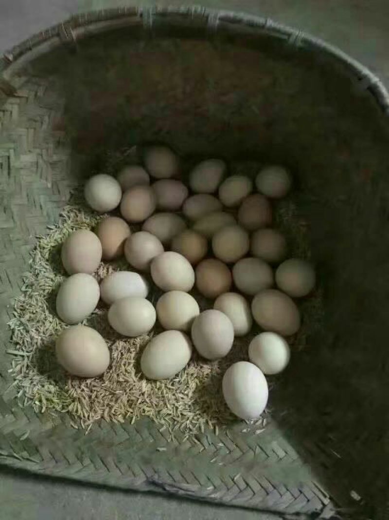 土鸡蛋食用50g以下