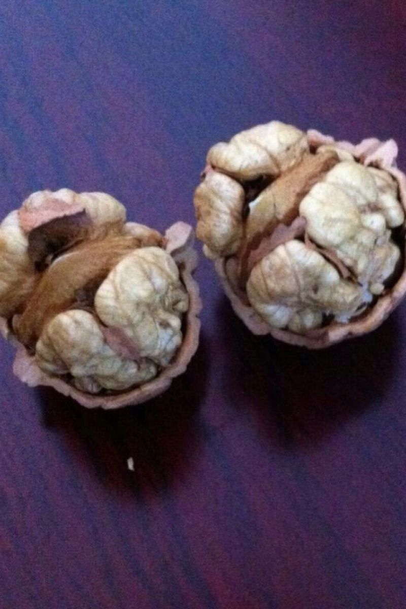 青皮核桃青皮品种优良