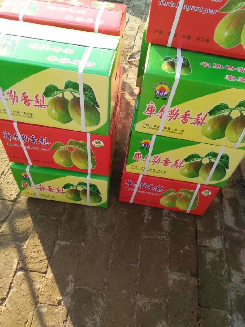库尔勒香梨200~250g55mm以上母