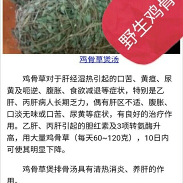 鸡骨草