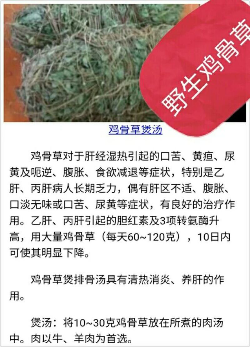 鸡骨草