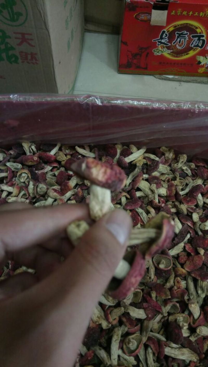 红菇