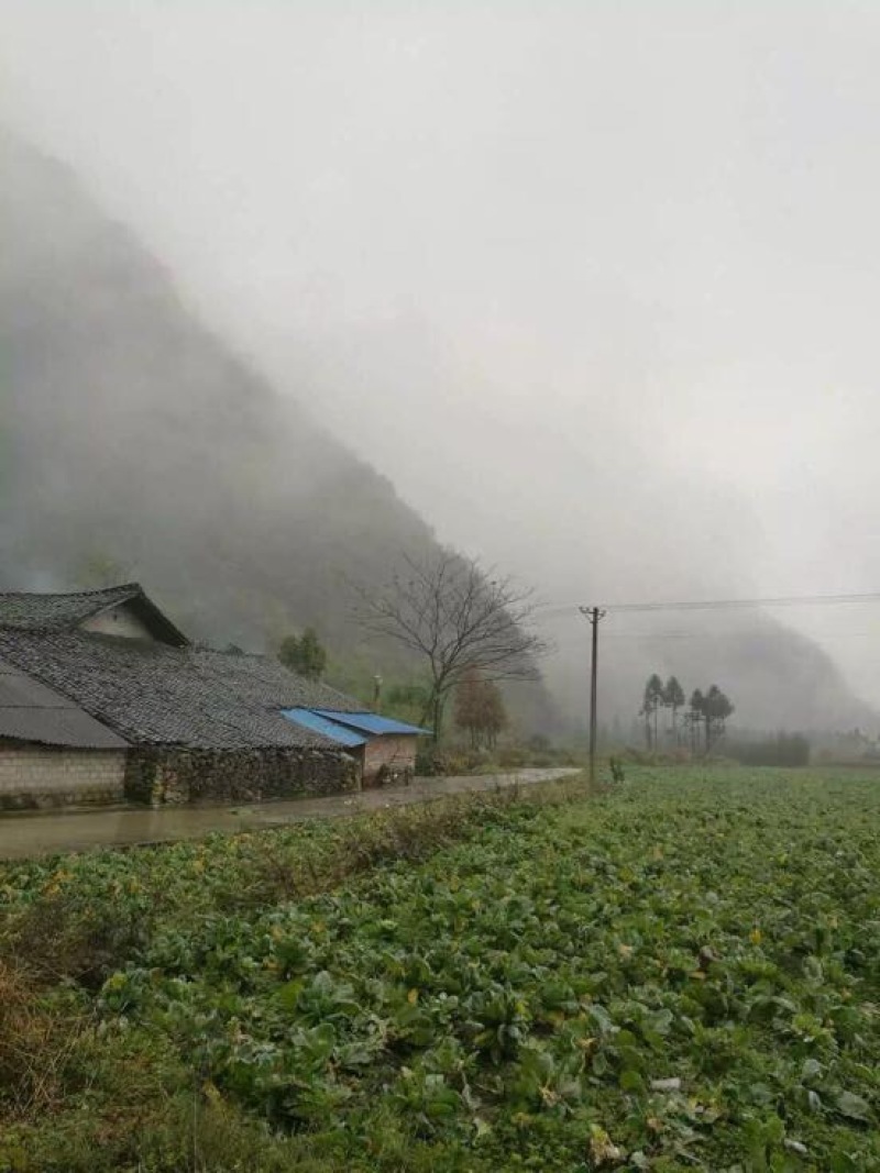 香肠