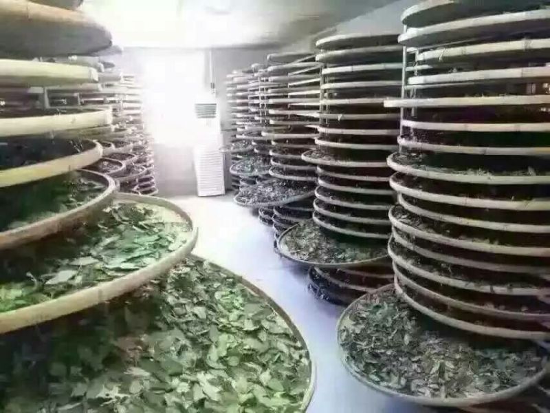 观音茶特级