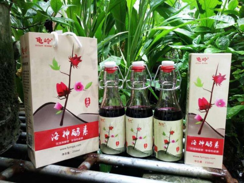 玫瑰茄