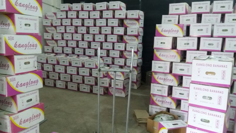 威廉斯香蕉九成熟