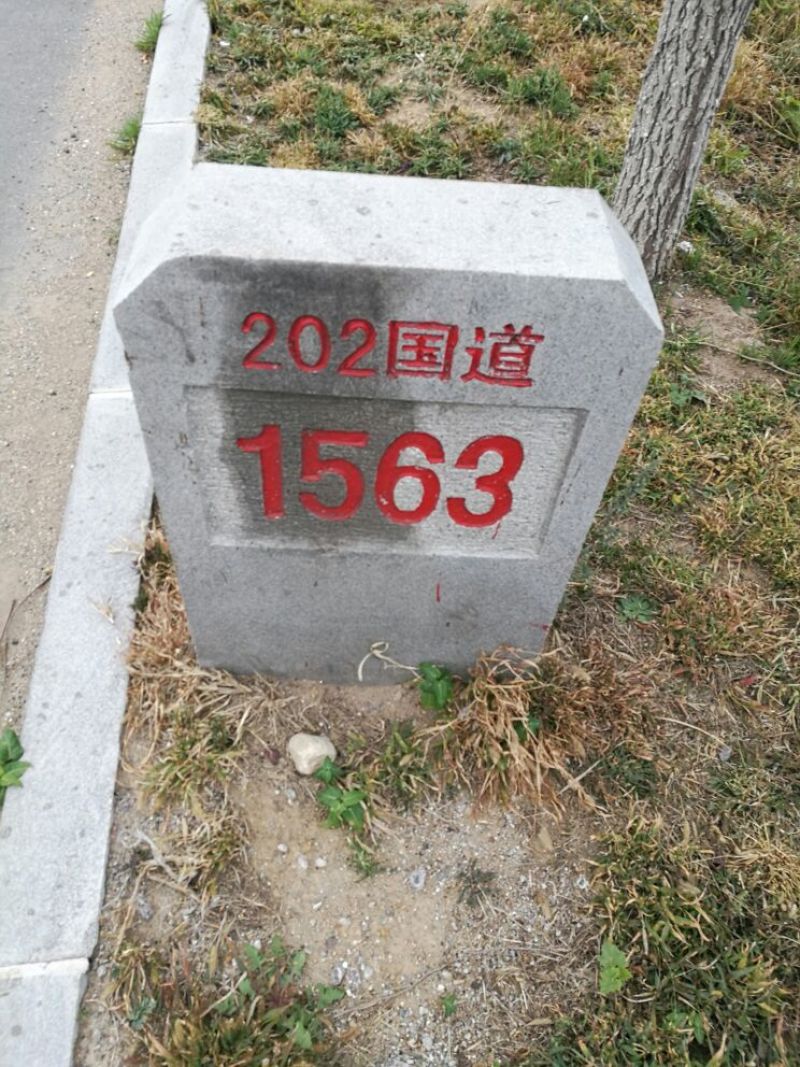 鸭梨200~250g光果