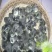 狮头鹅苗250g以上
