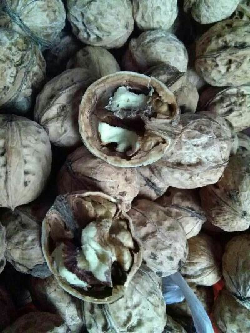 薄皮核桃30mm以上去皮