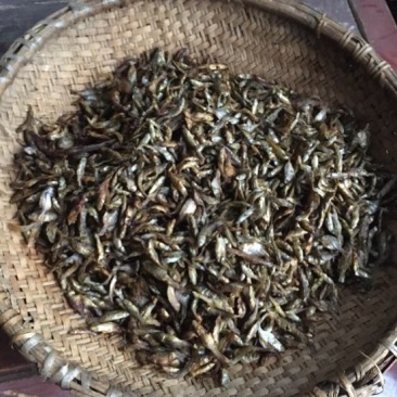 鲤鱼干