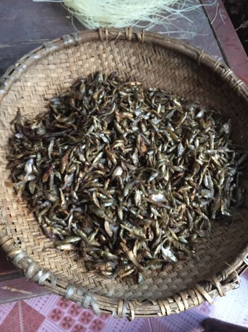 鲤鱼干