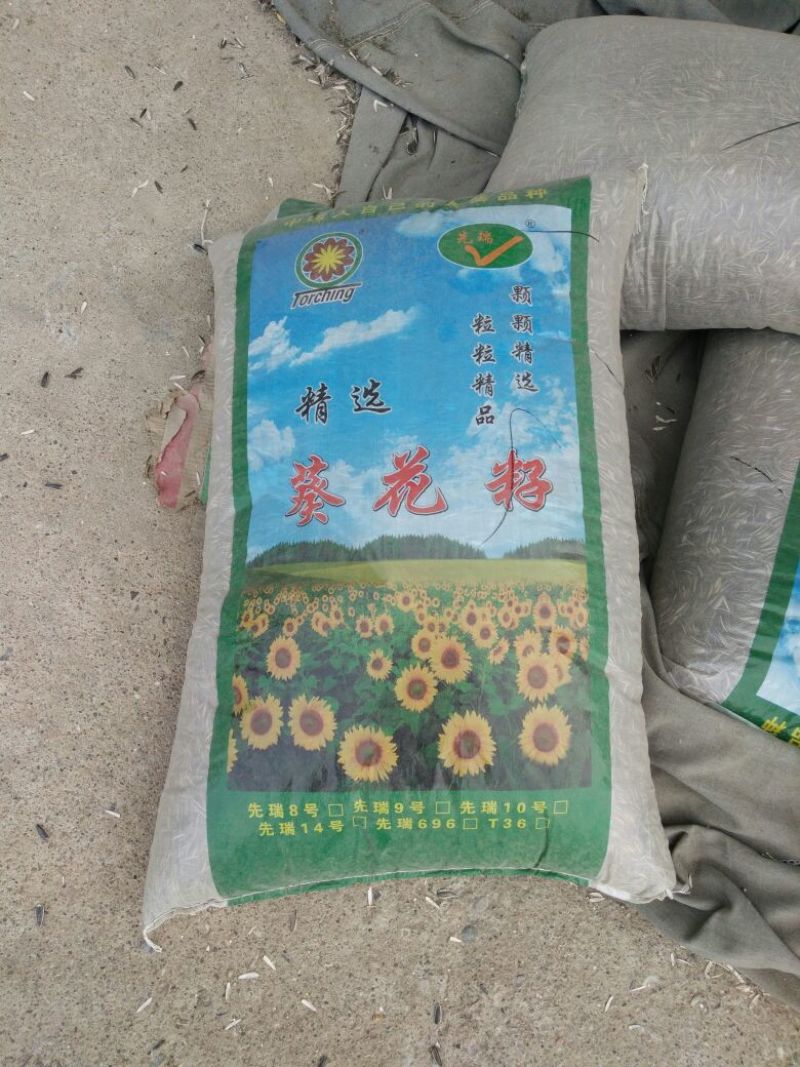 葵花籽