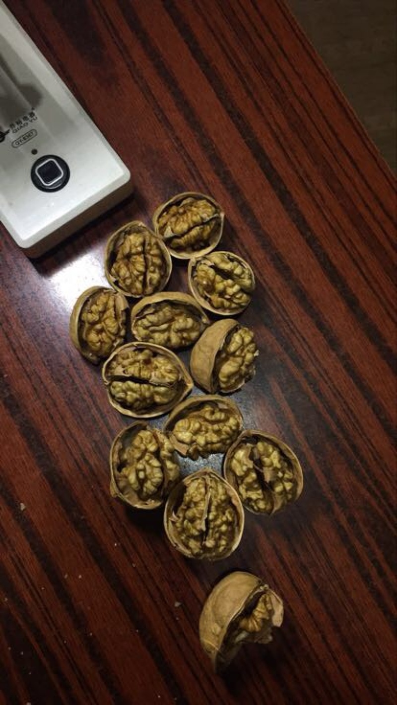 薄皮核桃