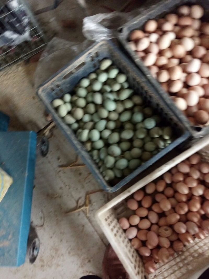 绿壳鸡蛋食用50g以下