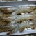 青虾食用13~15只/kg