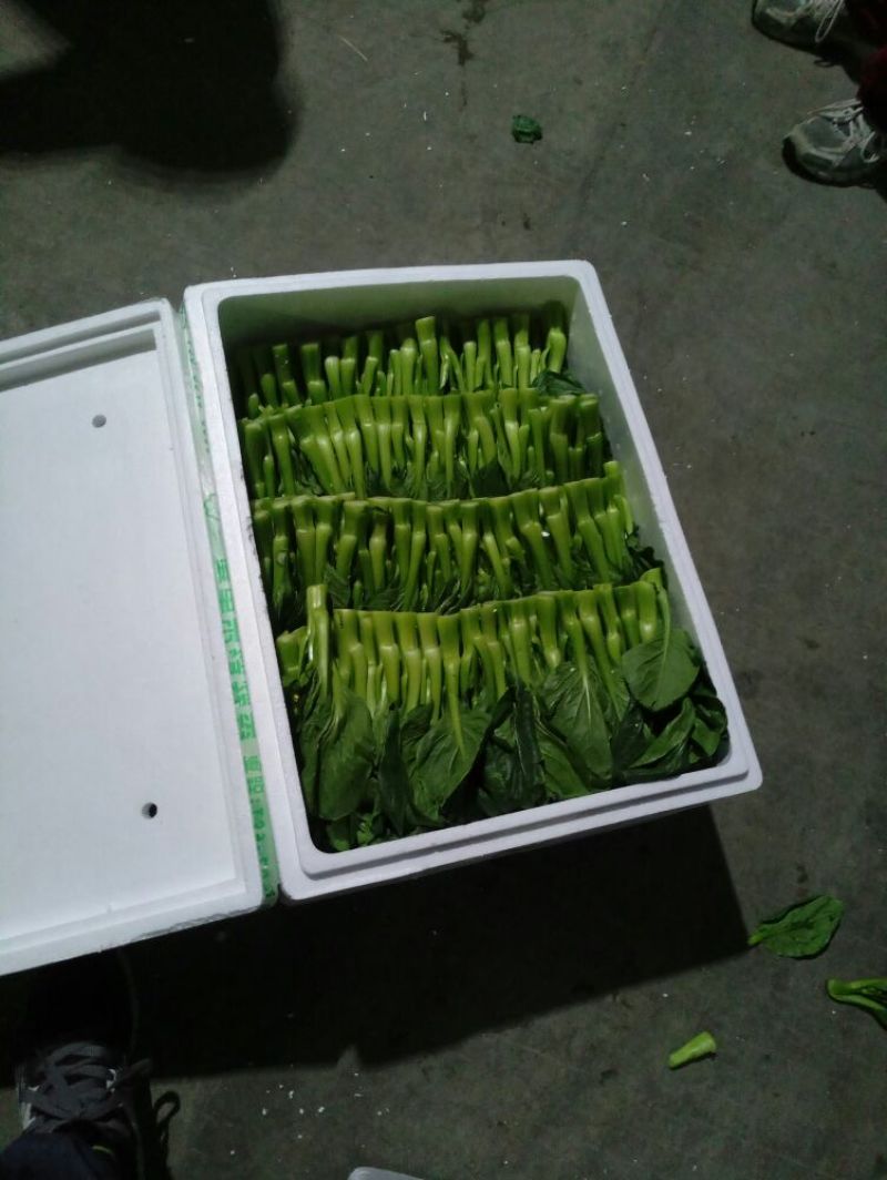 蔬菜