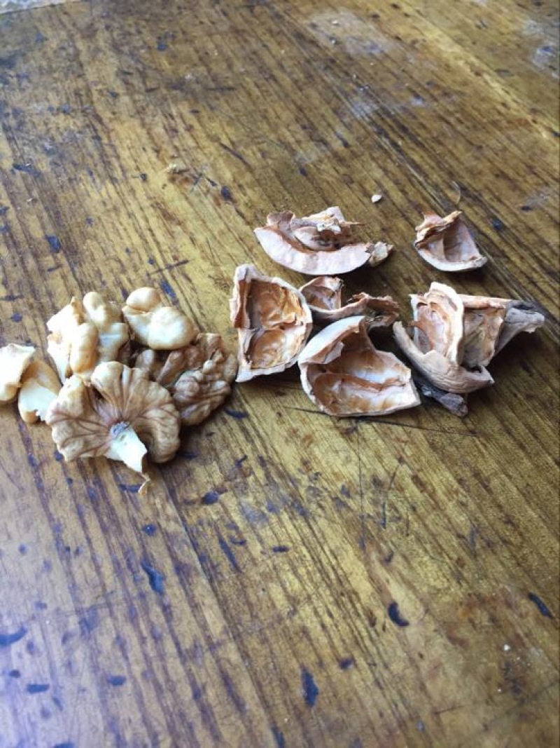 薄皮核桃
