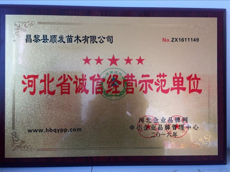 榆叶梅清地处理中，一棵也是批发价格，需要的抓紧联系