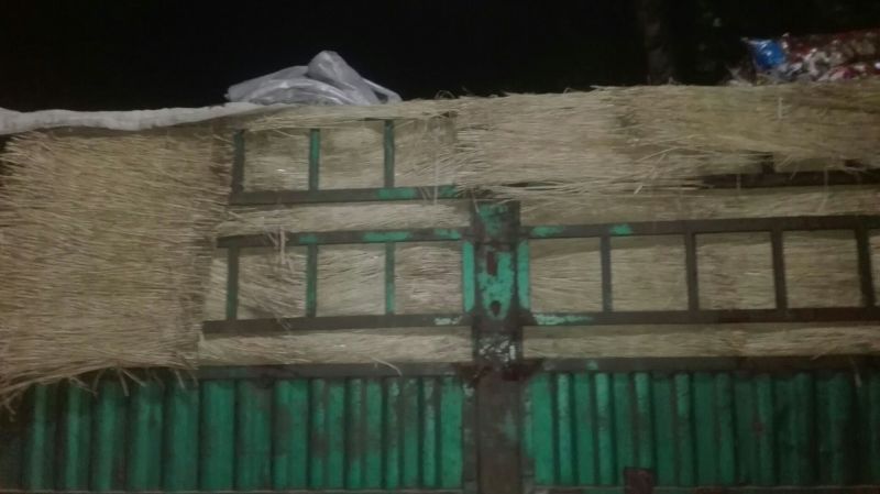 荷兰十五土豆2两以上装箱套网