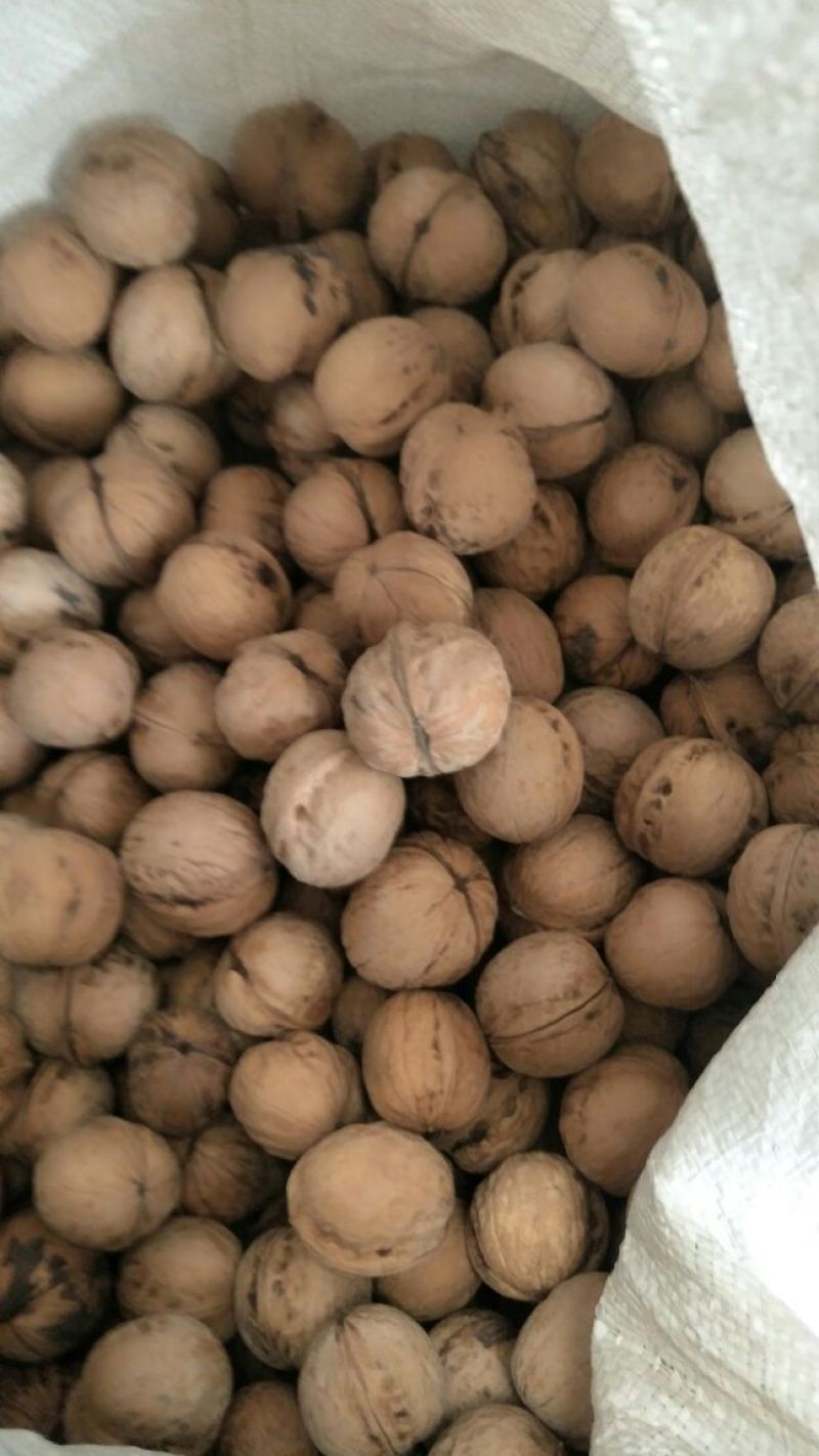 薄皮核桃去皮干