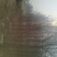 榆树6~8cm4~6cm2.5~3m