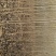 107杨树261~300cm