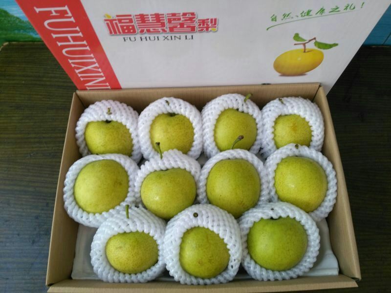 皇冠梨250~300g光果