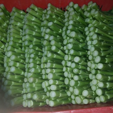 蔬菜