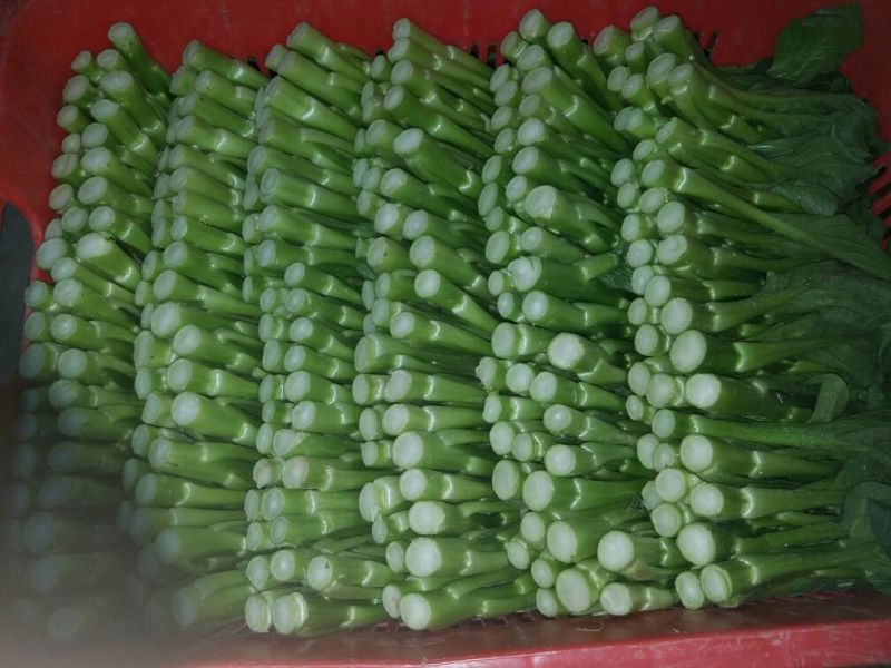 蔬菜