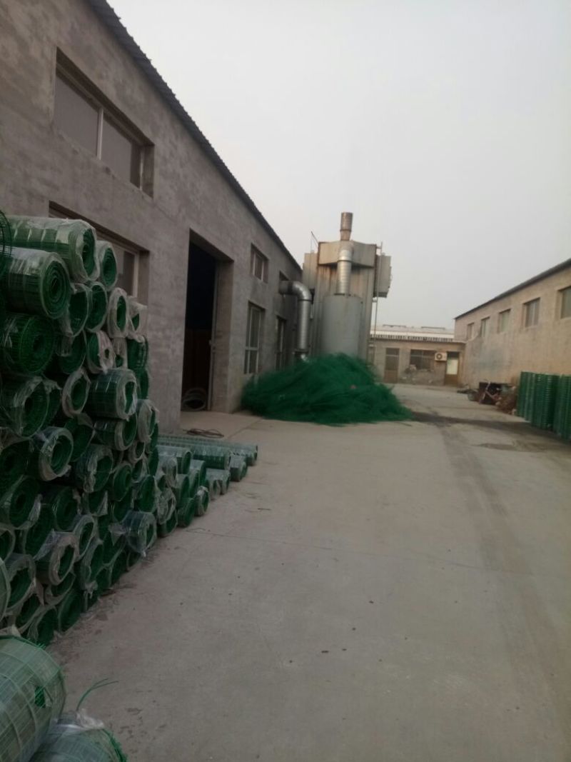 养鸡围栏网6公分