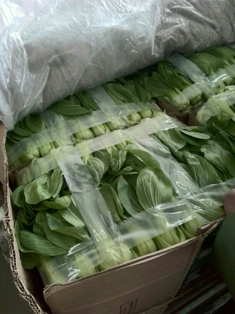 我处小油菜量大从优，需要的联系我