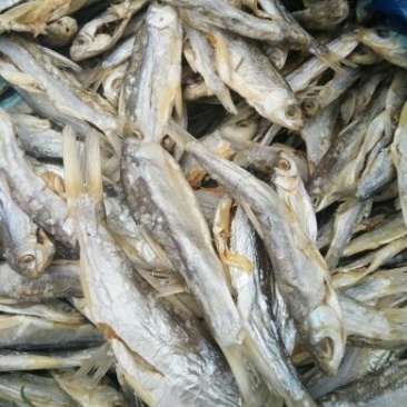 餐条鱼干