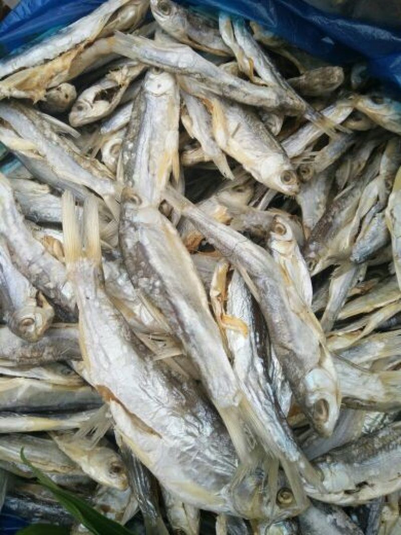 餐条鱼干