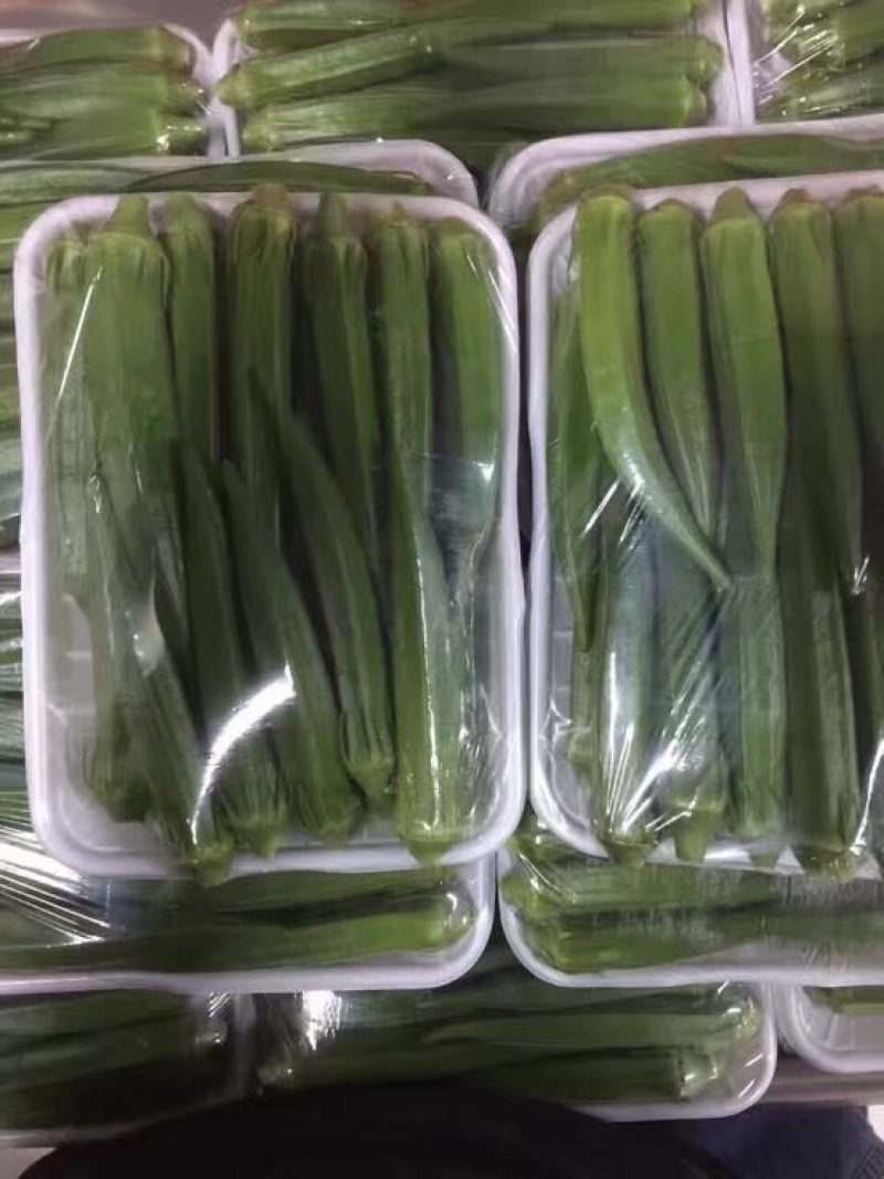 卡里巴黄秋葵