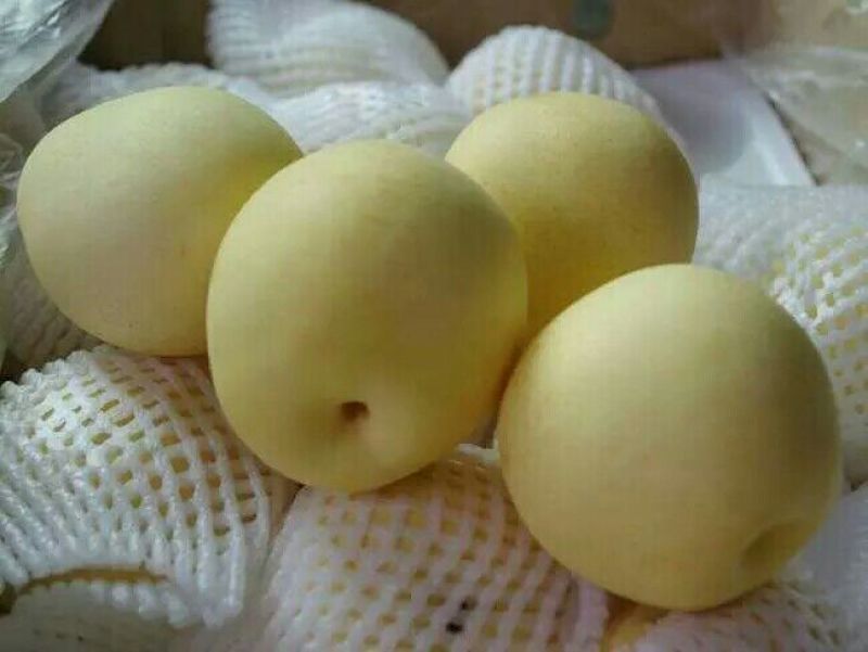 梨300~350g纸袋