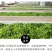 茶叶特级