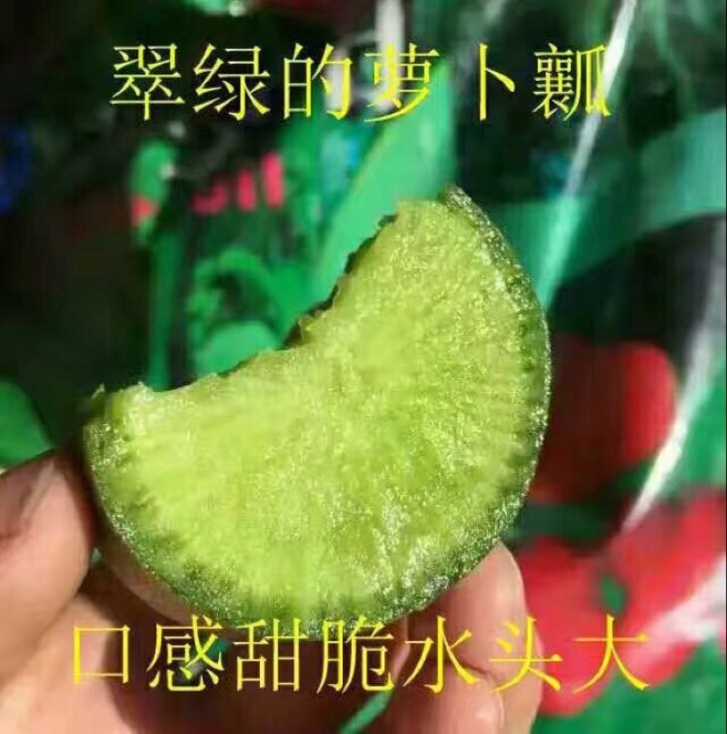 青萝卜