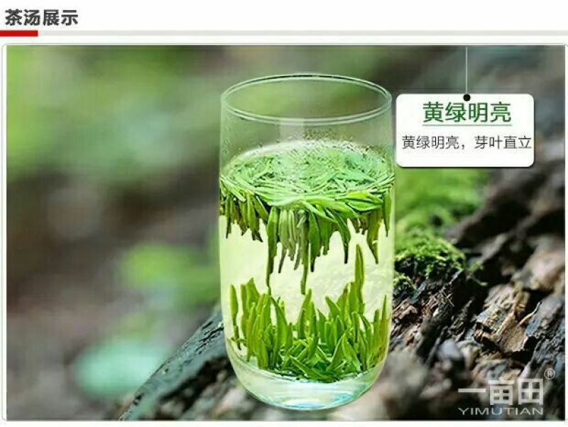 观音茶特级