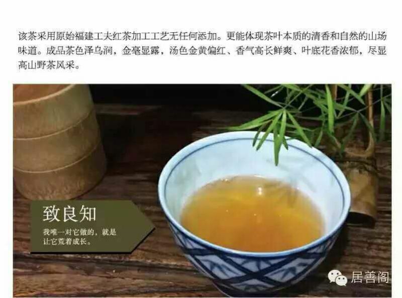 本山茶特级