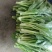 蔬菜