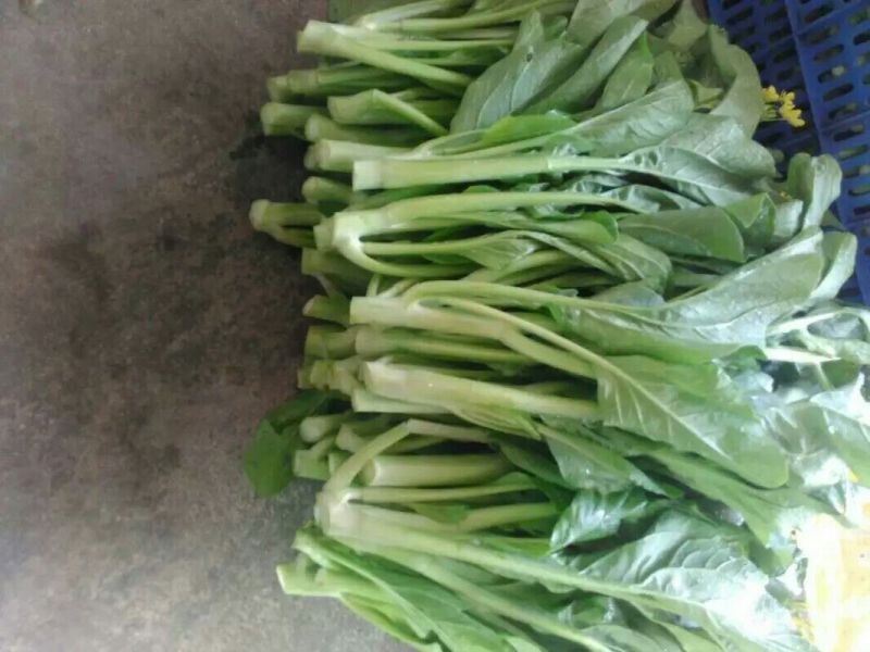 蔬菜