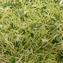 金银花统花