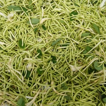 金银花统花