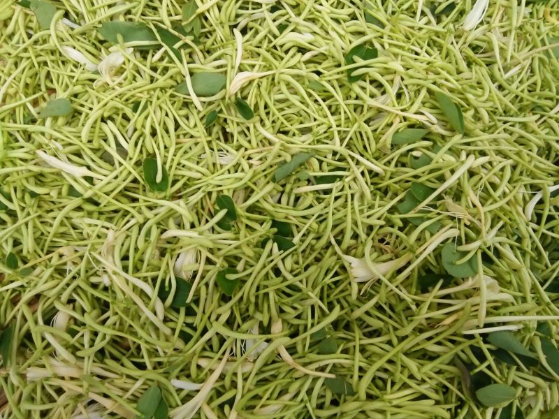 金银花统花