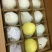 贡梨200~250g光果