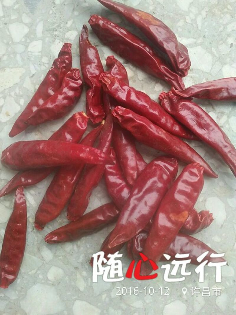 子弹头干辣椒精品9成干以上